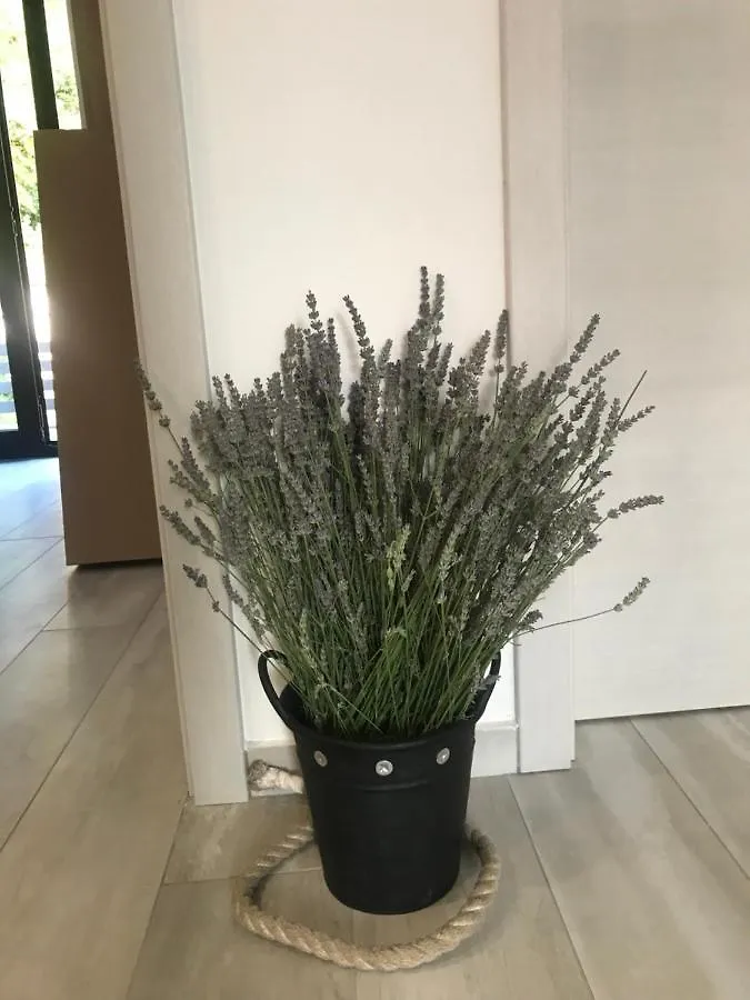 Apartment Lida